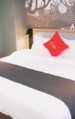 Туры в отель Shankee Coffee Style Hotel (Yuyao Zhangfengqiao Road)