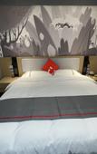 Туры в отель Shankee Hotel (Jing County Huiminqu)