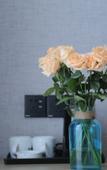 Туры в отель Shankee Hotel (Huaibin Wulong Avenue)