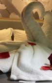Туры в отель Shankee Hotel (Shenyang Zhangshi Lighting City)