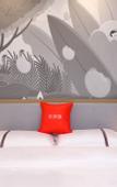 Туры в отель Shankee Hotel (Xi'an Xingfu Greenbelt Hansen Village Subway Station)