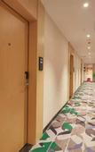 Туры в отель Shankee Tea Style Hotel (Chongqing Pengshui County Yujing Jiangshan)