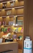 Туры в отель Shangyi Hotel (Shangrao Moon Bay Auto City)