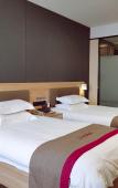 Туры в отель Shankee Collection Hotel (Hangzhou Tonglu Fenshui Tianhe Plaza)