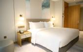 Туры в отель Holiday Inn XINING DATONG by IHG