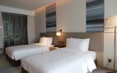 Туры в отель Holiday Inn XINING DATONG by IHG
