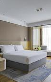 Туры в отель Holiday Inn ONE THOUSAND ISLAND LAKE by IHG