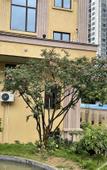 Туры в отель Pinxuan Hotel (Zhaoqing Railway Station)