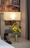 Туры в отель Vienna International Hotel railway station Wuquan Mountain Park  branch