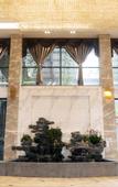Туры в отель Borrman Hotel (Danyang Gaoxinqu Zhenxing Road)