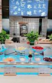 Туры в отель Borrman Hotel (Danyang Gaoxinqu Zhenxing Road)