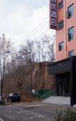 Туры в отель Shankee Hotel (Xinmi New District Avenue)