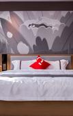 Туры в отель Shankee Hotel (Xinmi New District Avenue)