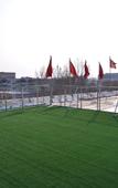 Туры в отель Junyi Chain Hotel (Zaoqiang County Government Branch)