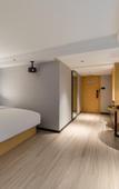 Туры в отель Borrman Hotel (Wuhan Tianhe International Airport Panlong City)