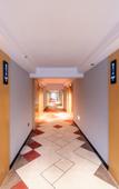 Туры в отель Borrman Hotel (Wuhan Tianhe International Airport Panlong City)