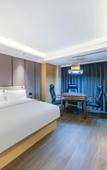 Туры в отель Borrman Hotel (Wuhan Tianhe International Airport Panlong City)