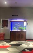Туры в отель Shankee Hotel (Luquan Shangzhuang Commercial Plaza)
