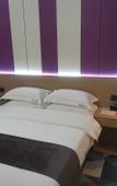 Туры в отель Ripple Hotel (Xi'an University of Arts and Science)