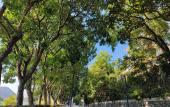Туры в отель CITY GEZHI HOTEL