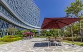 Туры в отель XiaMen Fliport Coso Hotel