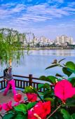 Туры в отель XiaMen Fliport Coso Hotel