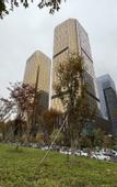 Туры в отель Greentree Eastern Hotel(Yiwu Yiwu International Trade City)
