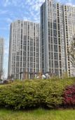 Туры в отель Greentree Eastern Hotel(Yiwu Yiwu International Trade City)
