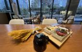 Туры в отель Greentree Eastern Hotel(Yiwu Yiwu International Trade City)