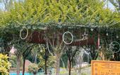 Туры в отель Ziyun Hot Spring Resort