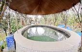 Туры в отель Ziyun Hot Spring Resort