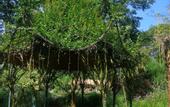 Туры в отель Ziyun Hot Spring Resort
