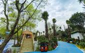 Туры в отель Ziyun Hot Spring Resort