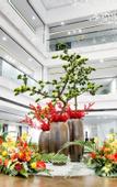 Туры в отель Le Shan Jinjiang Jia Zhou Hotel
