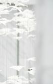 Туры в отель Le Shan Jinjiang Jia Zhou Hotel