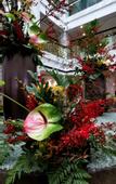 Туры в отель Le Shan Jinjiang Jia Zhou Hotel