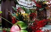 Туры в отель Le Shan Jinjiang Jia Zhou Hotel