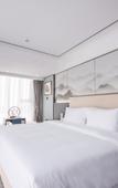 Туры в отель Le Shan Jinjiang Jia Zhou Hotel