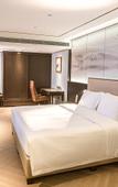Туры в отель Le Shan Jinjiang Jia Zhou Hotel