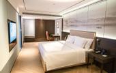 Туры в отель Le Shan Jinjiang Jia Zhou Hotel