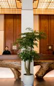 Туры в отель Hengdian Chengyi Hotel (Movie City Branch)