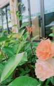 Туры в отель Hengdian Chengyi Hotel (Movie City Branch)