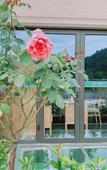 Туры в отель Hengdian Chengyi Hotel (Movie City Branch)