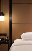 Туры в отель Wellton International Hotel (Ganzhou West Railway Station)