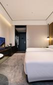 Туры в отель Wellton International Hotel (Ganzhou West Railway Station)
