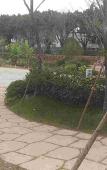 Туры в отель Vienna Hotel (Gu Shan Dong Tai he hotel)
