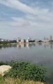 Туры в отель Vienna Hotel (Gu Shan Dong Tai he hotel)