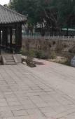 Туры в отель Vienna Hotel (Gu Shan Dong Tai he hotel)