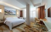 Туры в отель Vienna Hotel (Huanancheng Branch, Zhengzhou)