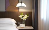 Туры в отель Anyee Jinzhou Hotel (Chengdu Chunxi Road Subway Station IFS)